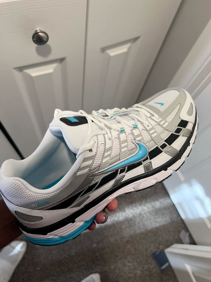 Nike P-6000 Dusty Cactus