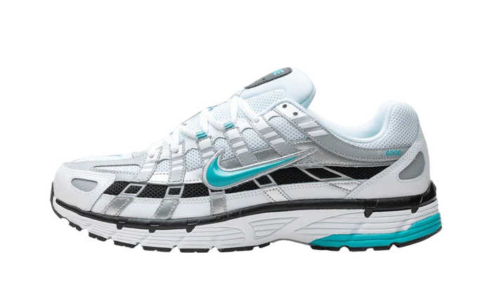 Nike P-6000 Dusty Cactus